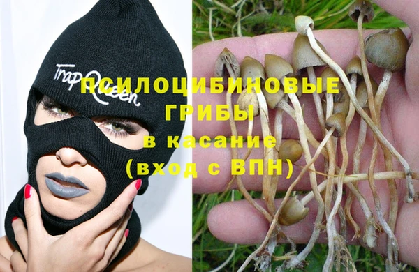 COCAINE Переславль-Залесский