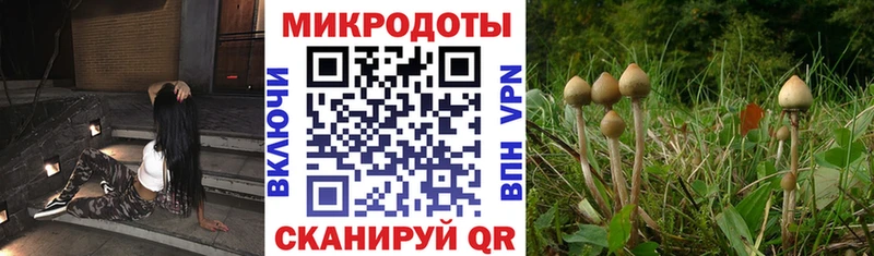 как найти наркотики  Новоуральск  Галлюциногенные грибы Cubensis 