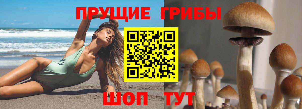 Галлюциногенные грибы прущие грибы Новоуральск